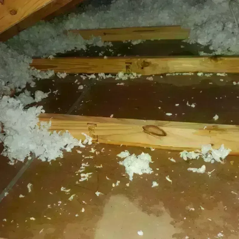 Attic Water Damage in Wathena, KS